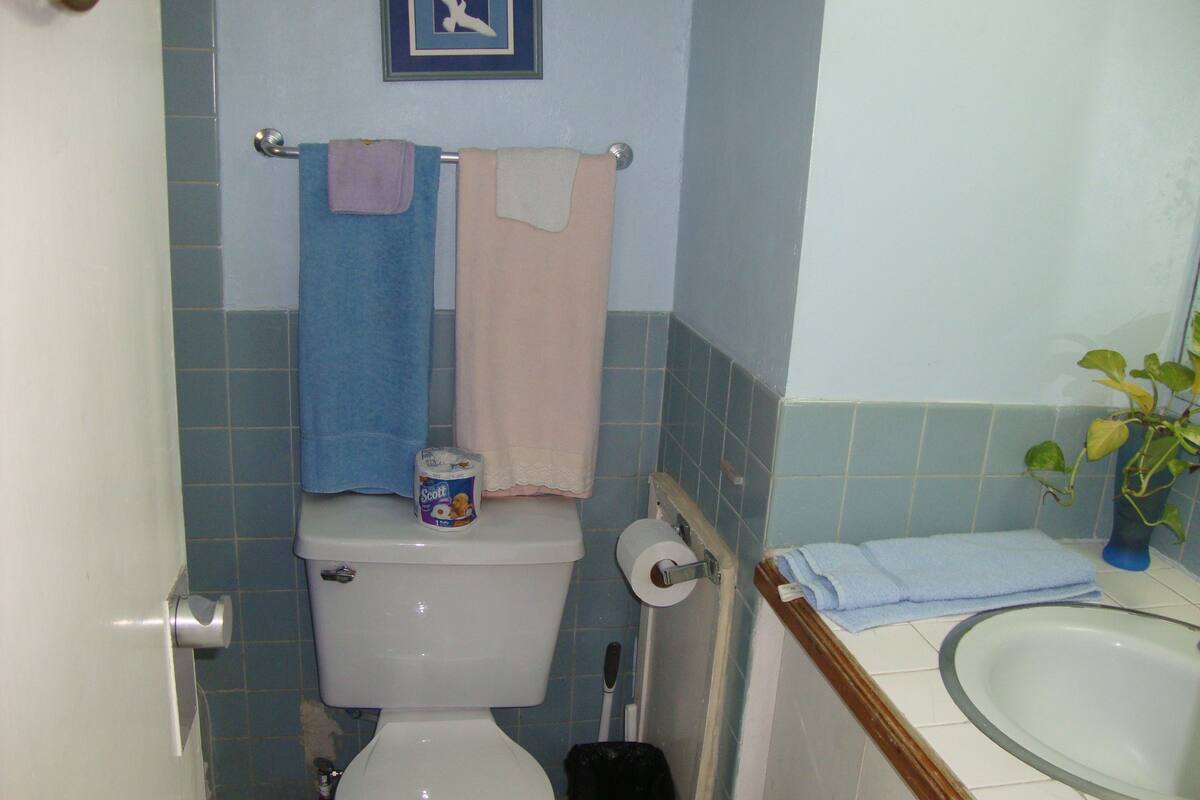studio, 1 bedroom, kitchen | bathroom | combined shower/bathtub, hair dryer, towels