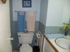 Studio, 1 Bedroom, Kitchen | Bathroom | Combined shower/tub, hair dryer, towels