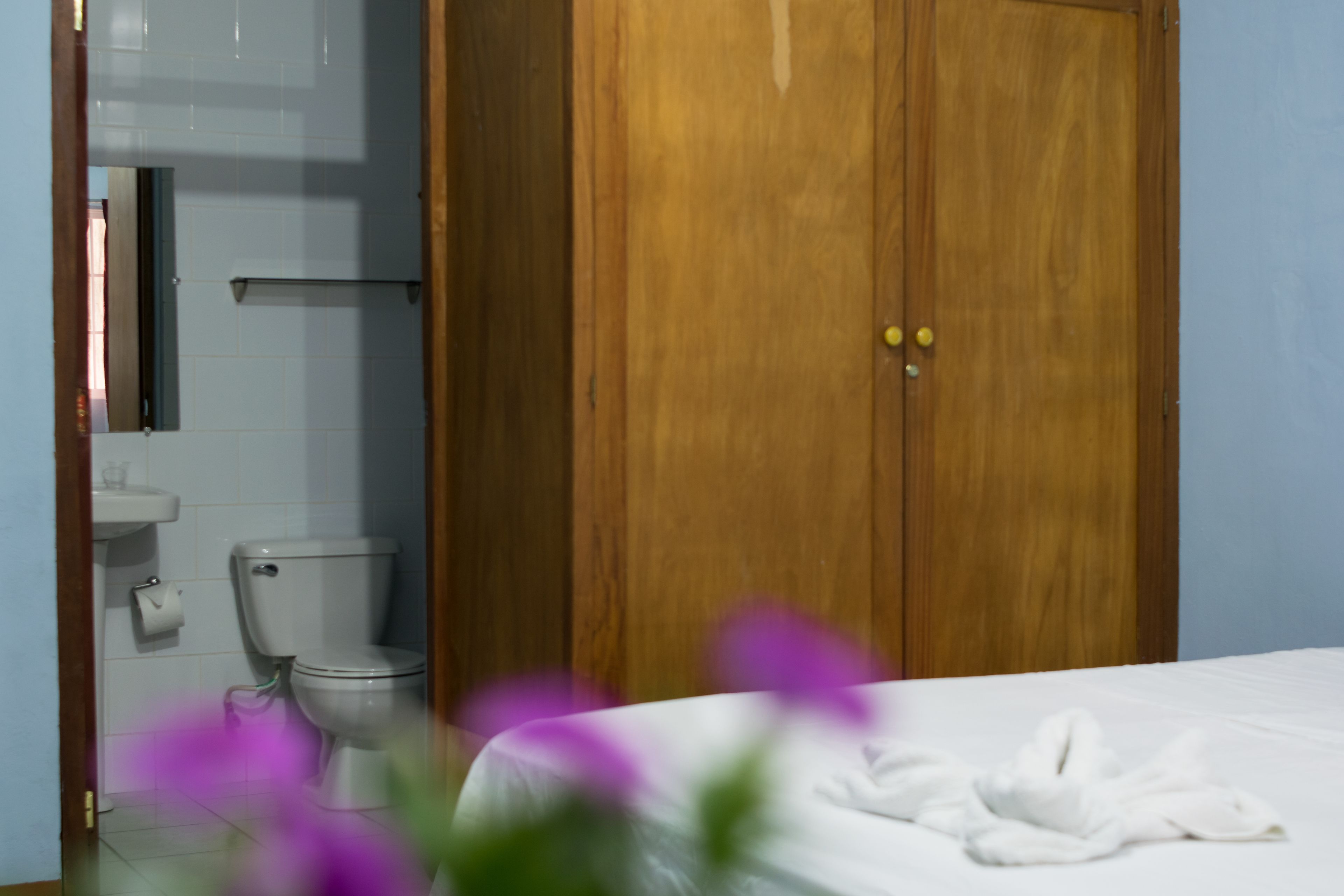 Photo - Hotel Valerie