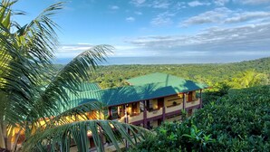 Un bâtiment doté d’un toit végétalisé, entouré d’une végétation luxuriante et offrant une vue sur un paysage lointain.