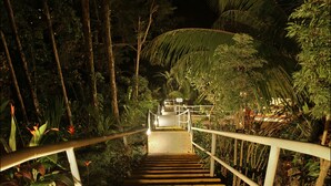 Un escalier en bois, doté de rampes en métal, mène à une plateforme entourée d’une végétation luxuriante et d’arbres.