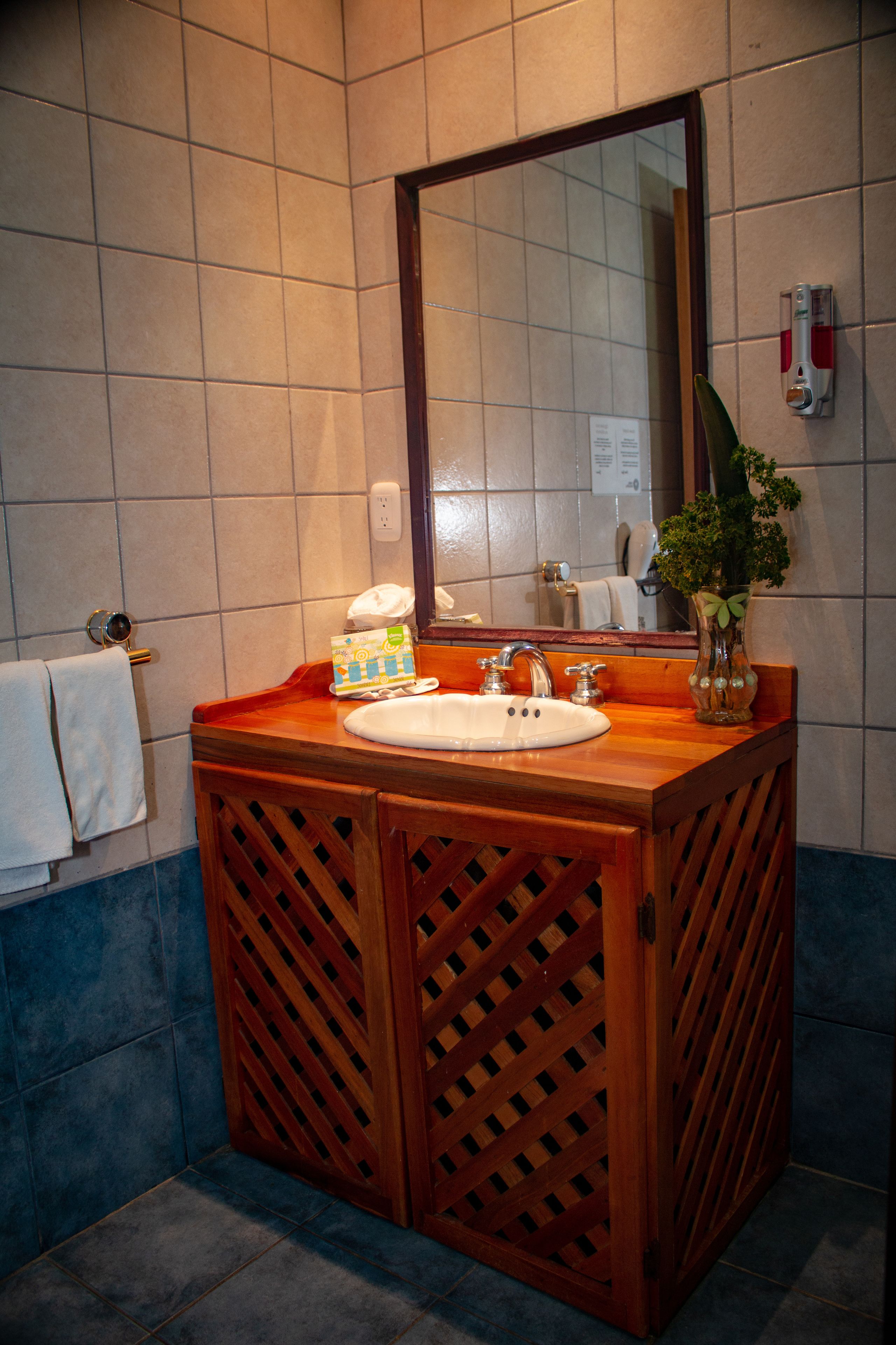 Photo - Vista Ballena