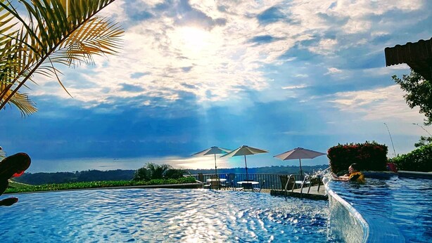 Une piscine à l’eau d’un bleu cristallin, entourée de palmiers et offrant une vue sur l’océan.