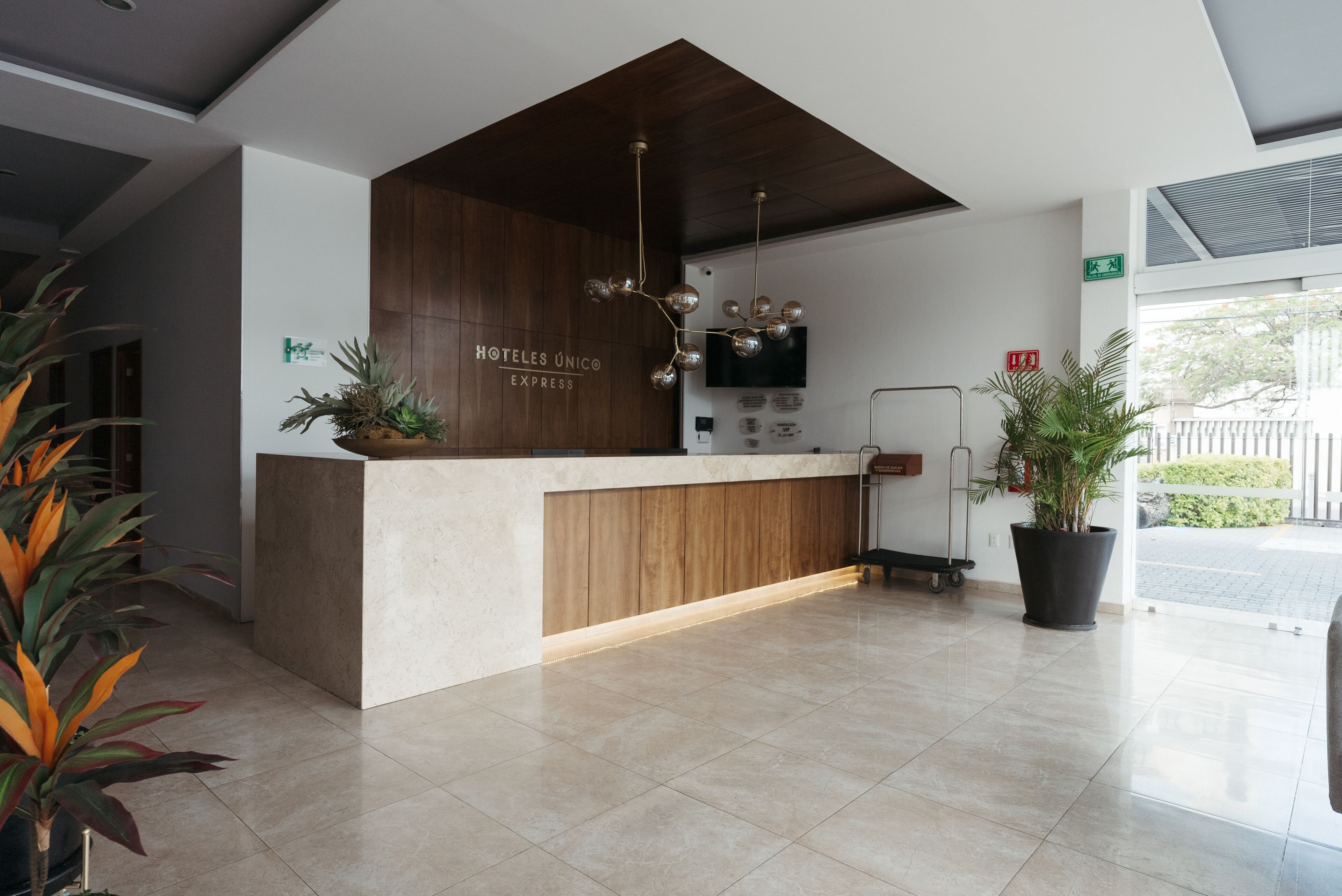 Zona de recepción de un hotel con mostrador de madera, una lámpara moderna y plantas en macetas.