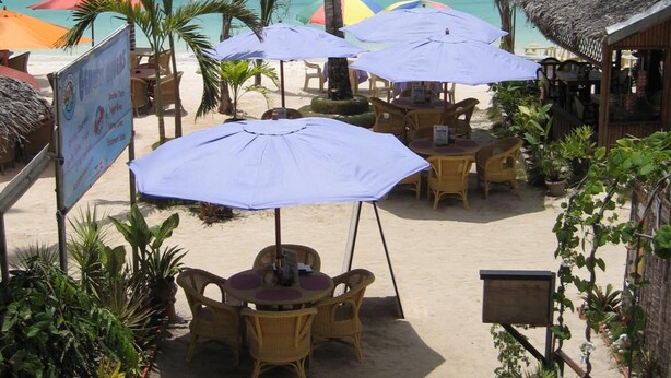 A beachside restaurant with outdoor seating, palm trees, and a view of the ocean and boats.