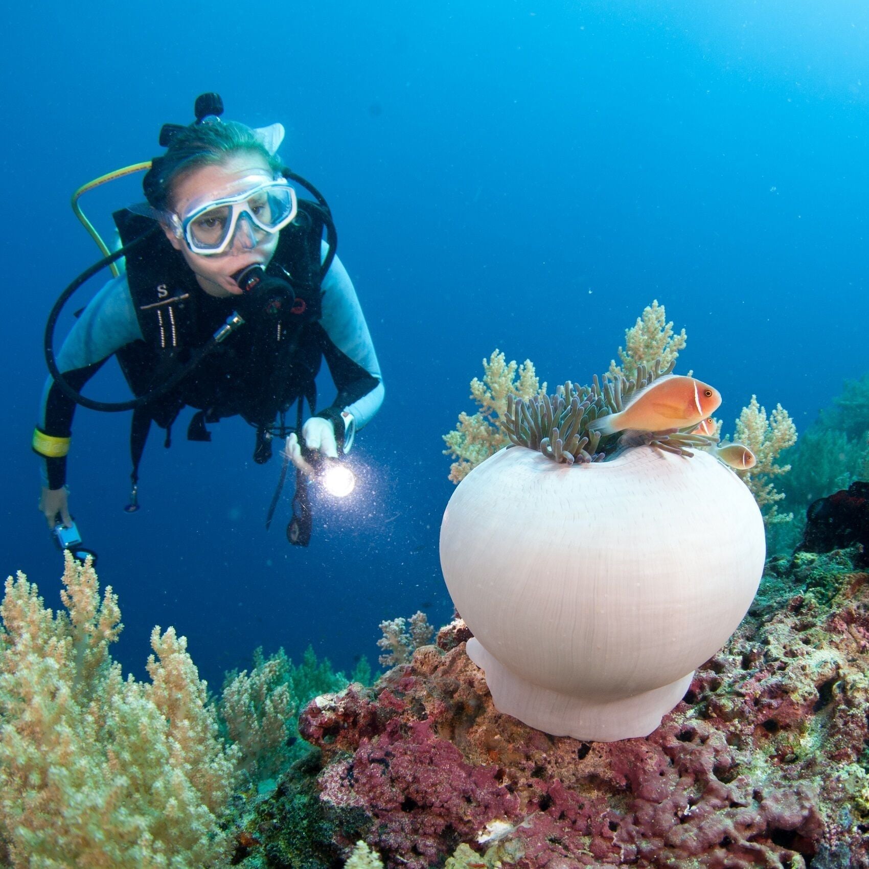 A diver exploring an underwater scene with coral formations and a large, round object resembling a sea anemone.