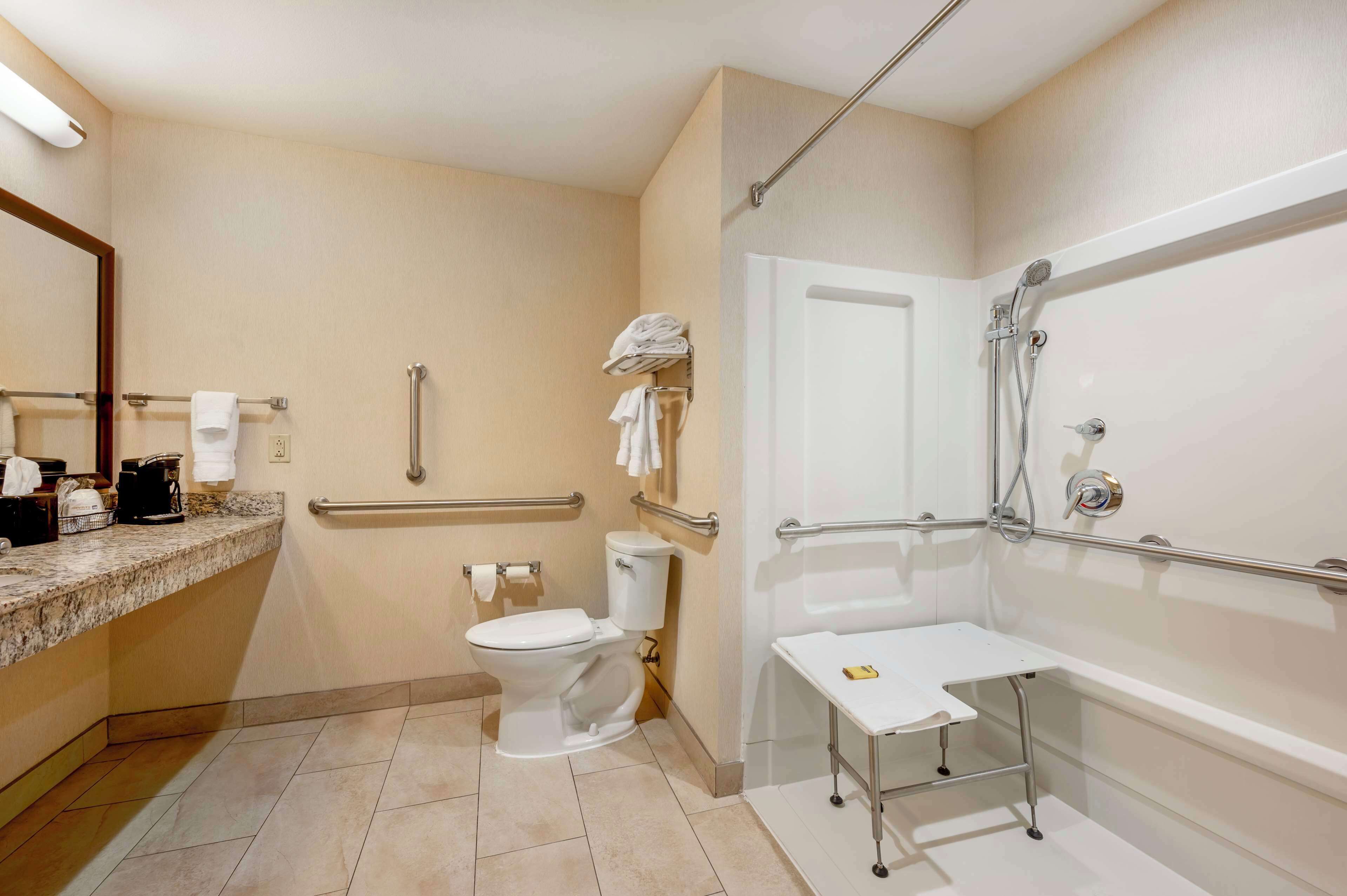 standard room, 1 king bed, accessible, refrigerator & microwave | bathroom | free toiletries, hair dryer, towels, soap