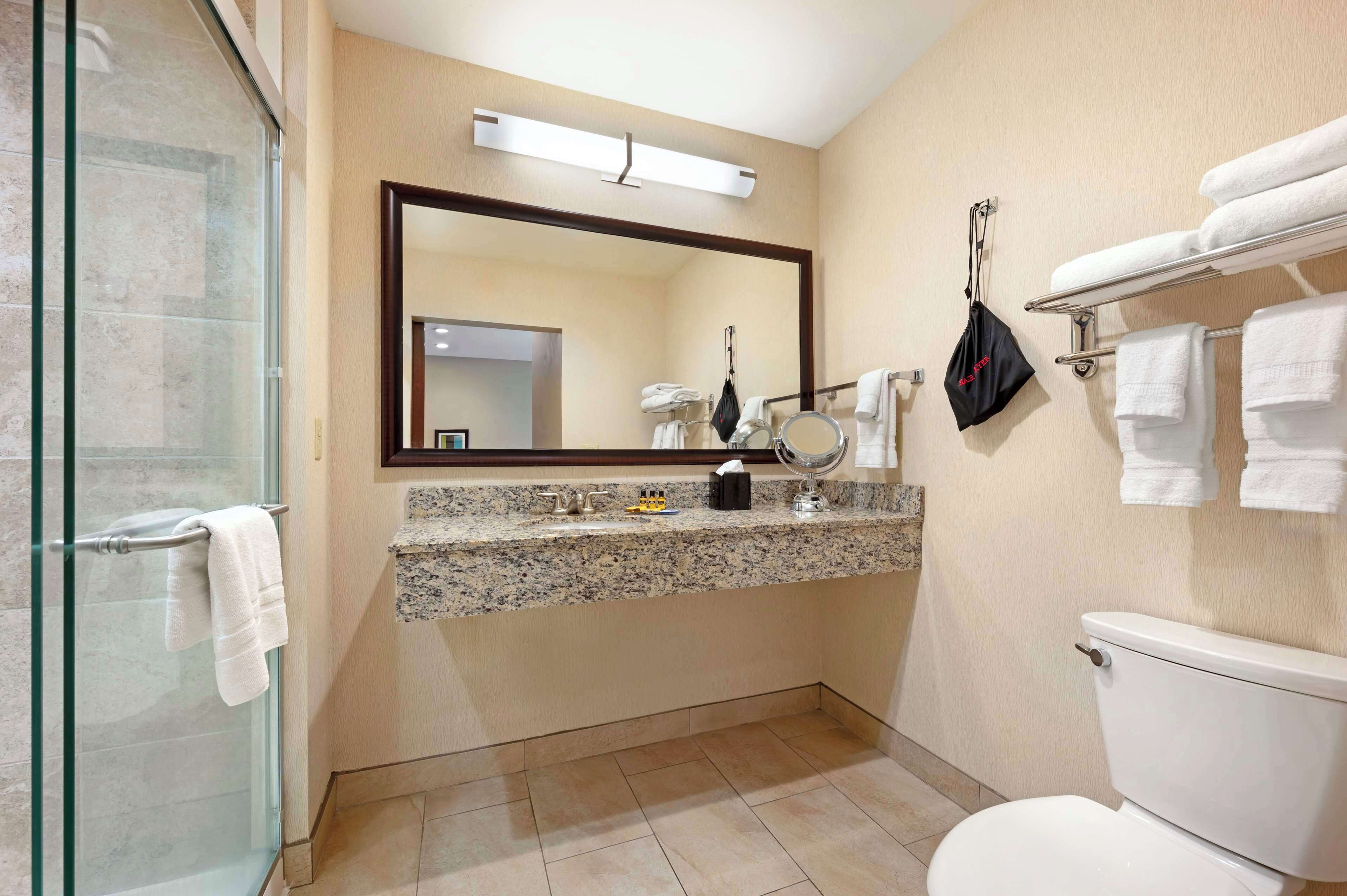 suite, 1 king bed, non smoking, kitchenette (with sofabed) | bathroom | free toiletries, hair dryer, towels, soap
