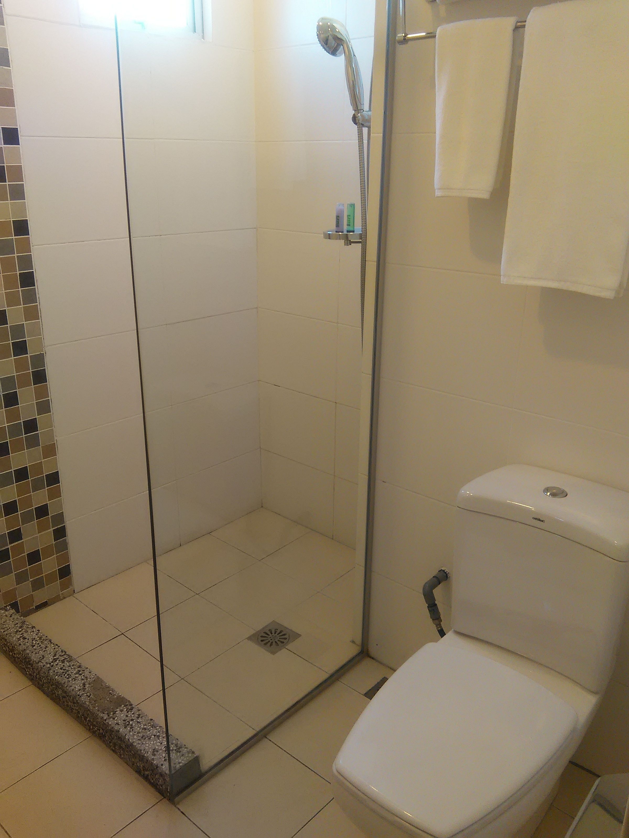 Une salle de bain avec une douche à parois de verre, des toilettes et un carrelage au sol.
