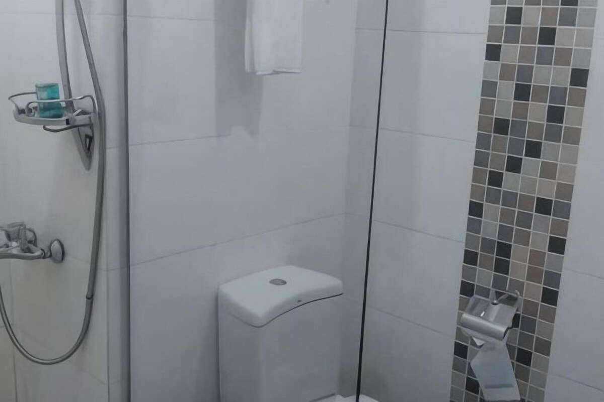 Regadera, amenidades de baño gratuitas, secadora de cabello, toallas 