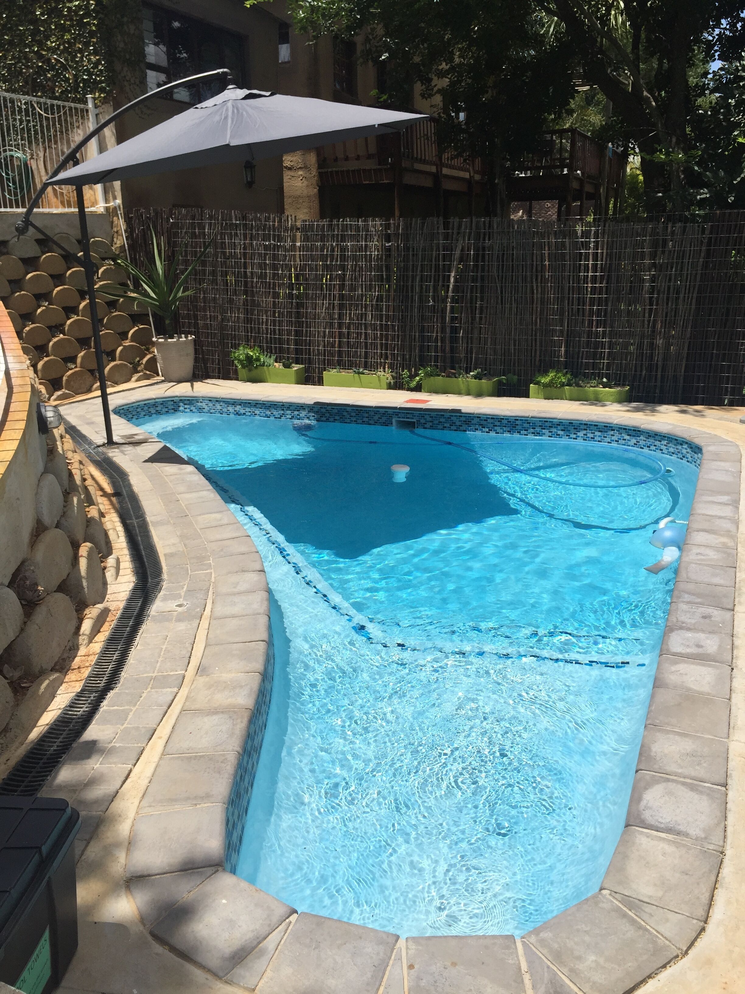 Outdoor pool, open 9:00 AM to 7:00 PM, pool umbrellas