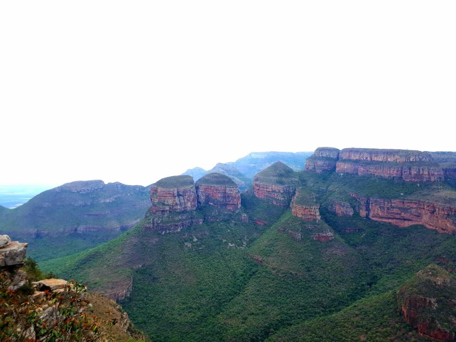 A canyon landscape with layered rock formations and dense green vegetation.