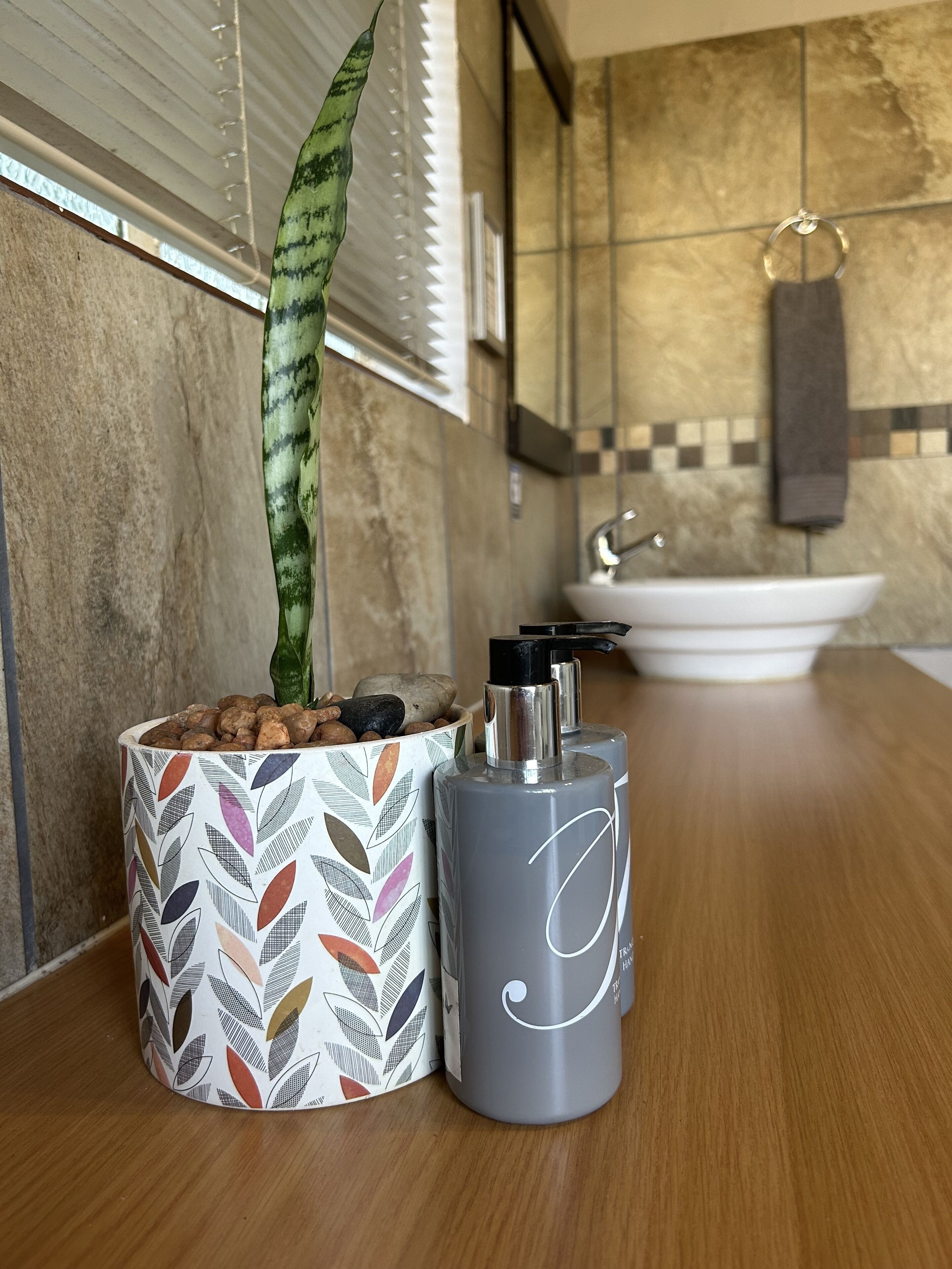A bathroom with a wooden countertop, a potted plant, a decorative mug, and a soap dispenser.