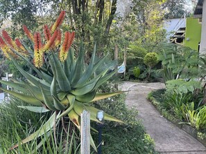 Exterior - Sabie Self-Catering Apartments (Sabie)