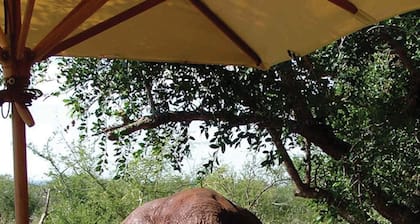 Etali Safari Lodge