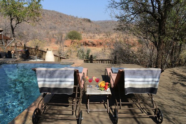 Outdoor pool, pool umbrellas, pool loungers - Etali Safari Lodge (Ramotshere Moiloa)