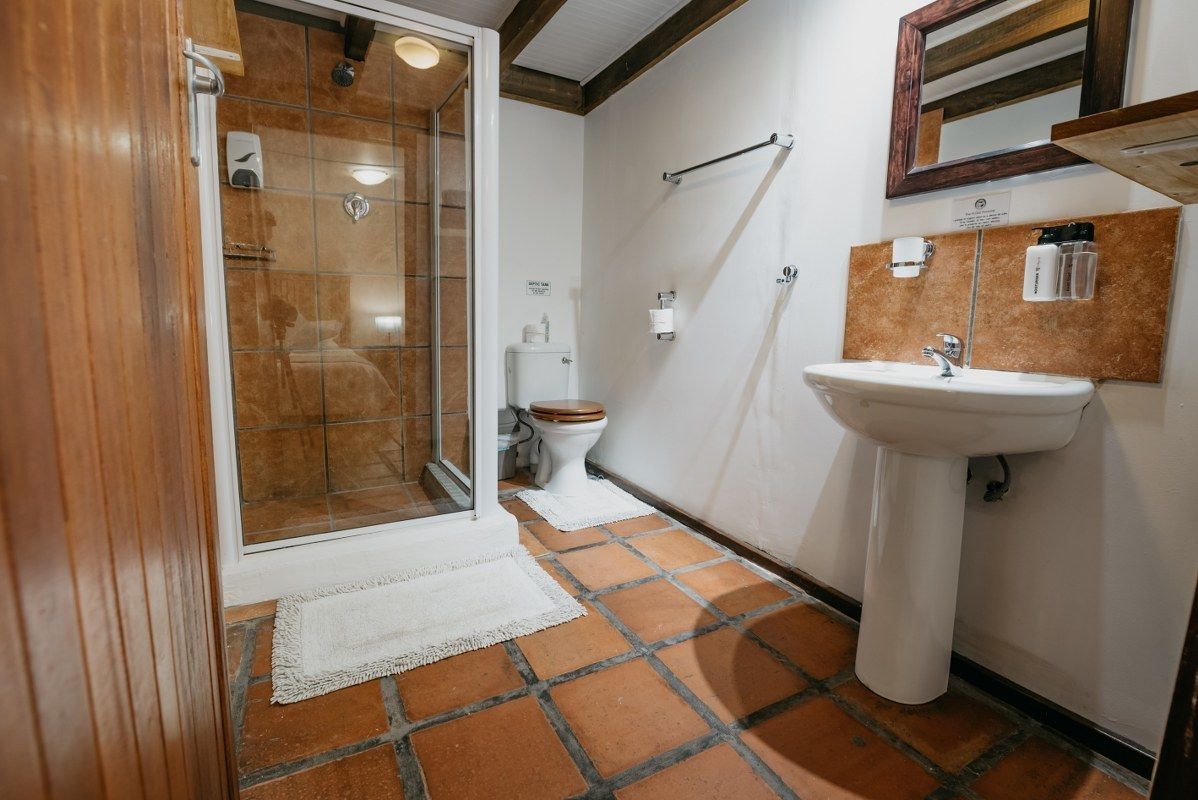 A bathroom with a glass shower enclosure, a white sink, and a toilet.