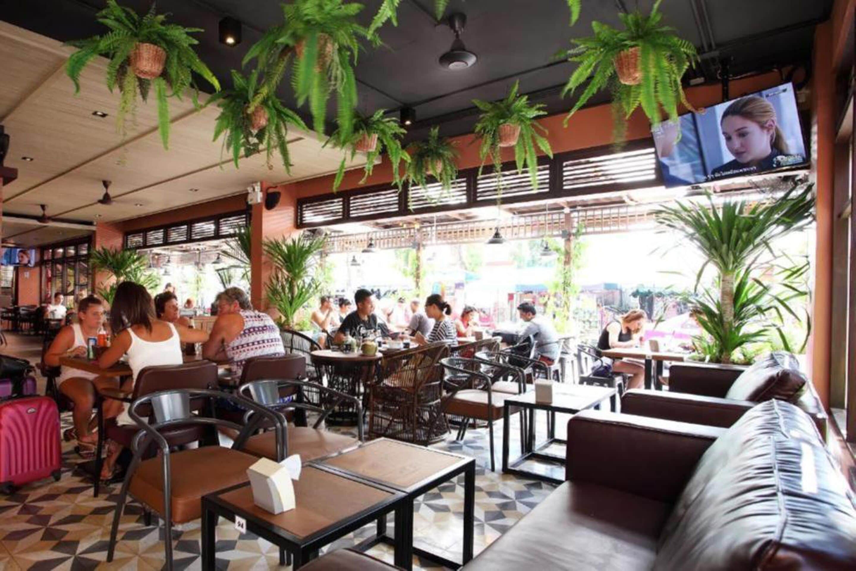 Un café interior con mesas y sillas, plantas colgantes y una pantalla de televisión.