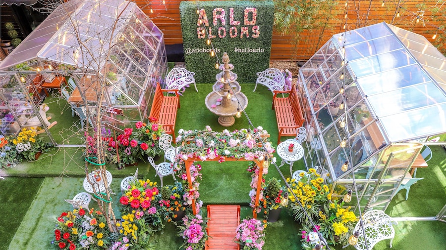 Arlo SoHo