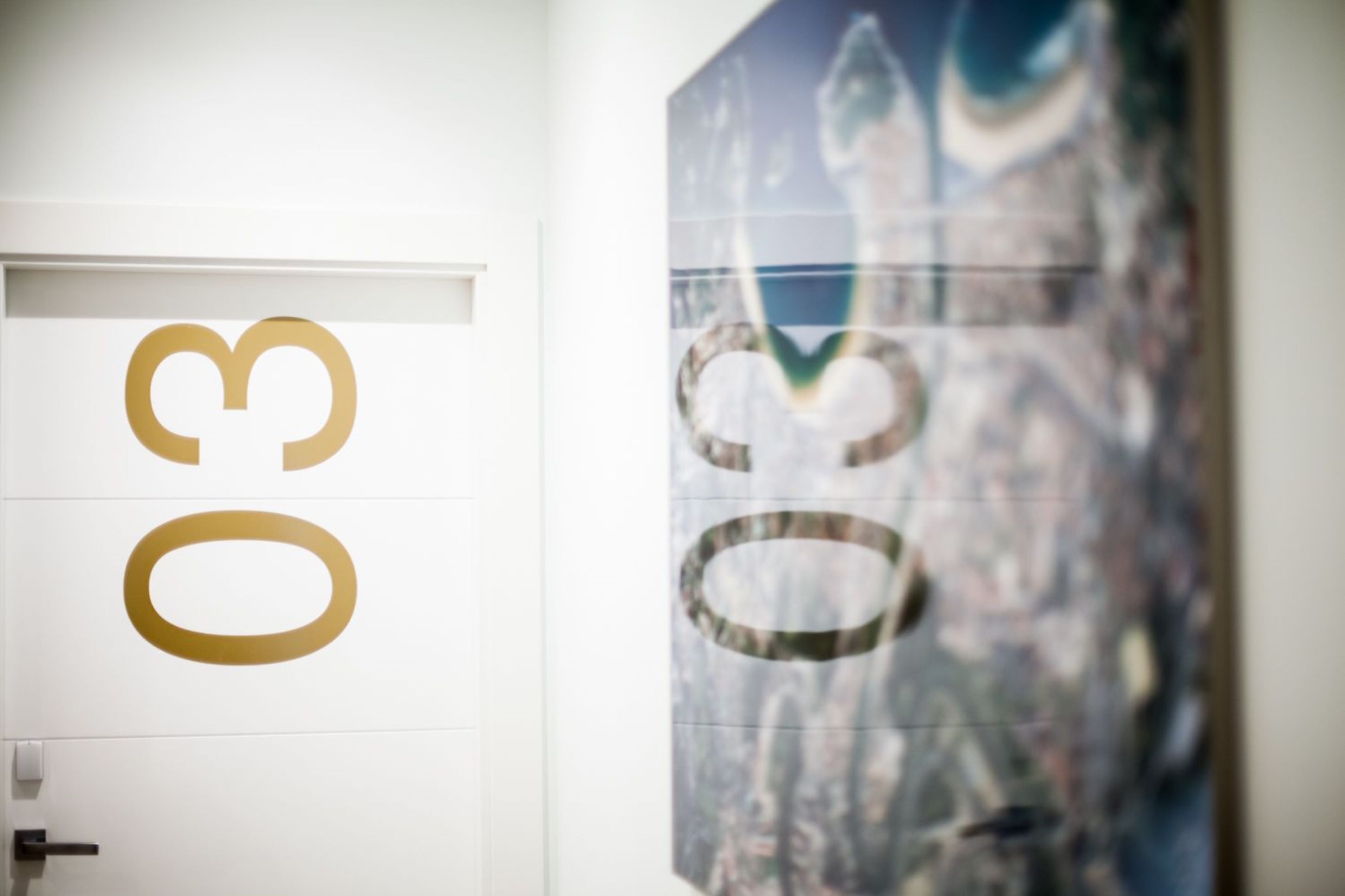 A door with a large gold logo and a blurred artwork on the wall.