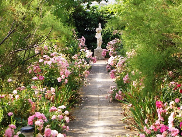 Garden - Rural Biniarroca (Sant Lluis)