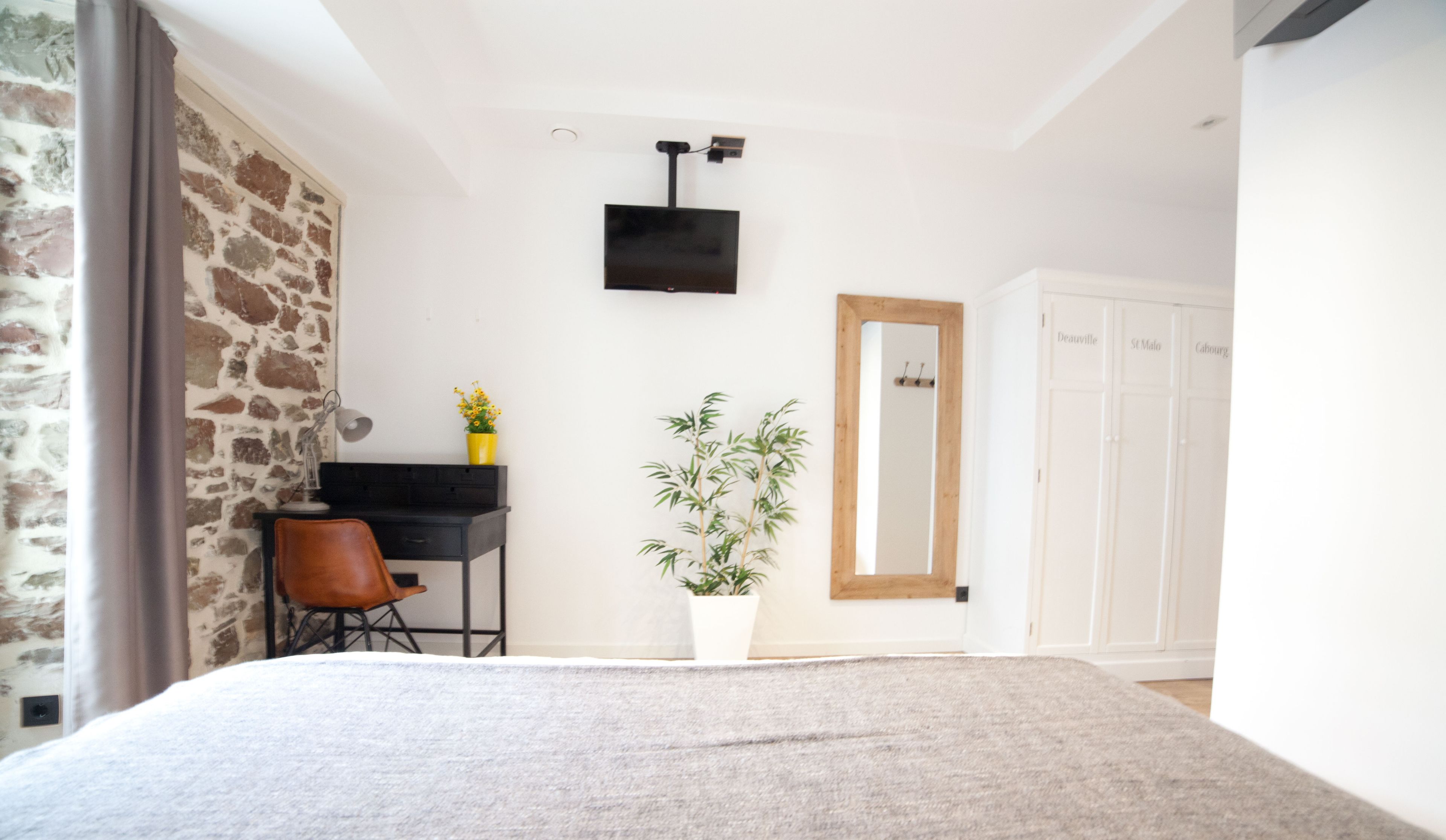 A bedroom with a bed, a desk, a chair, a potted plant, a mirror, and a wardrobe.