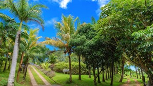 A pathway lined with palm trees and lush greenery, leading to a signpost. - La Vieille Cheminee (Chamarel)