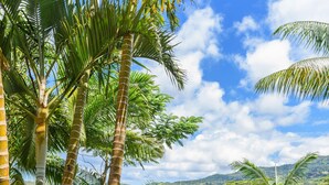 A wooden deck with a view of palm trees and distant hills. - La Vieille Cheminee (Chamarel)
