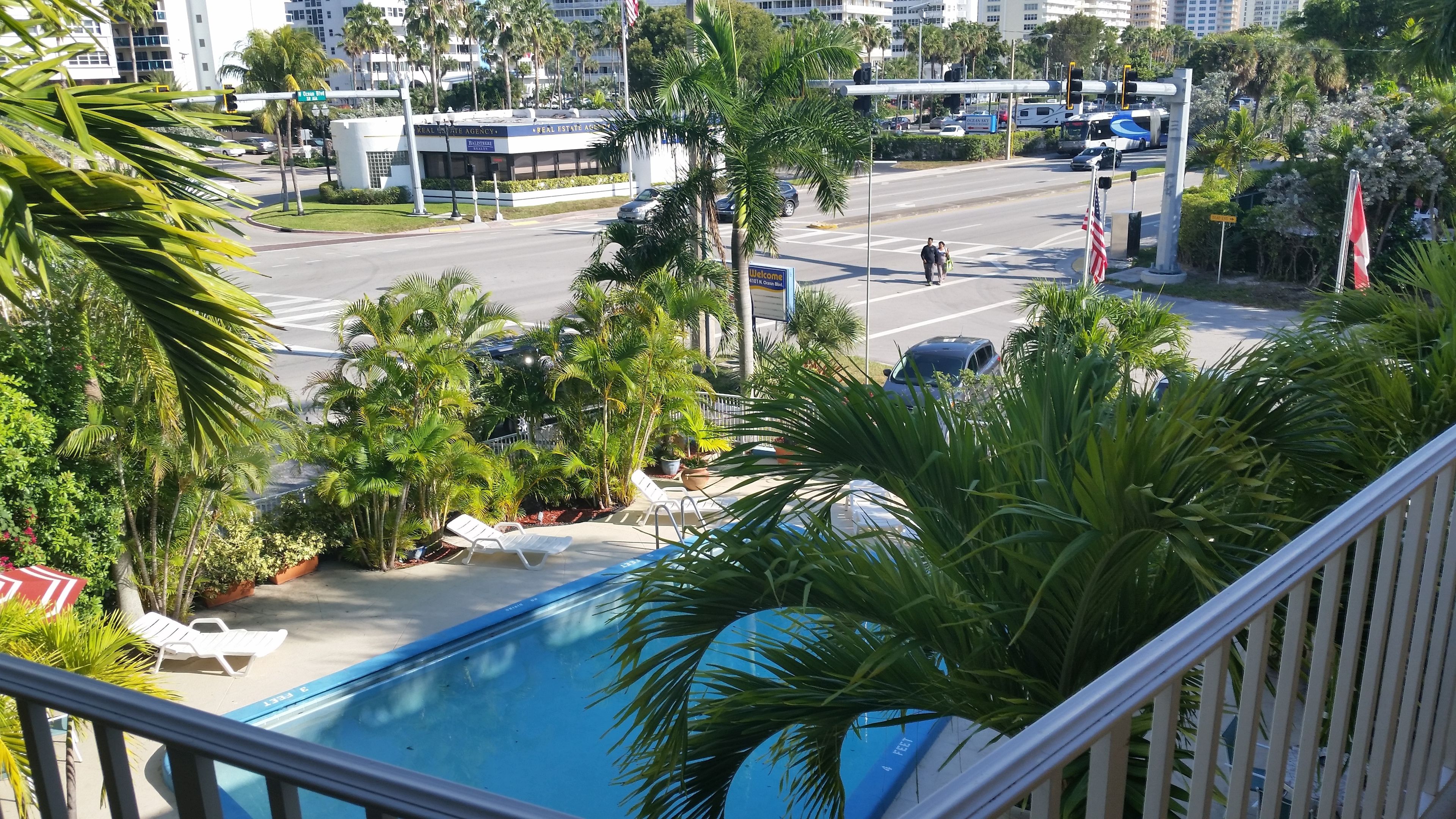 A pool area with lounge chairs and palm trees, overlooking a busy street with cars and a Real Estate Agency building.