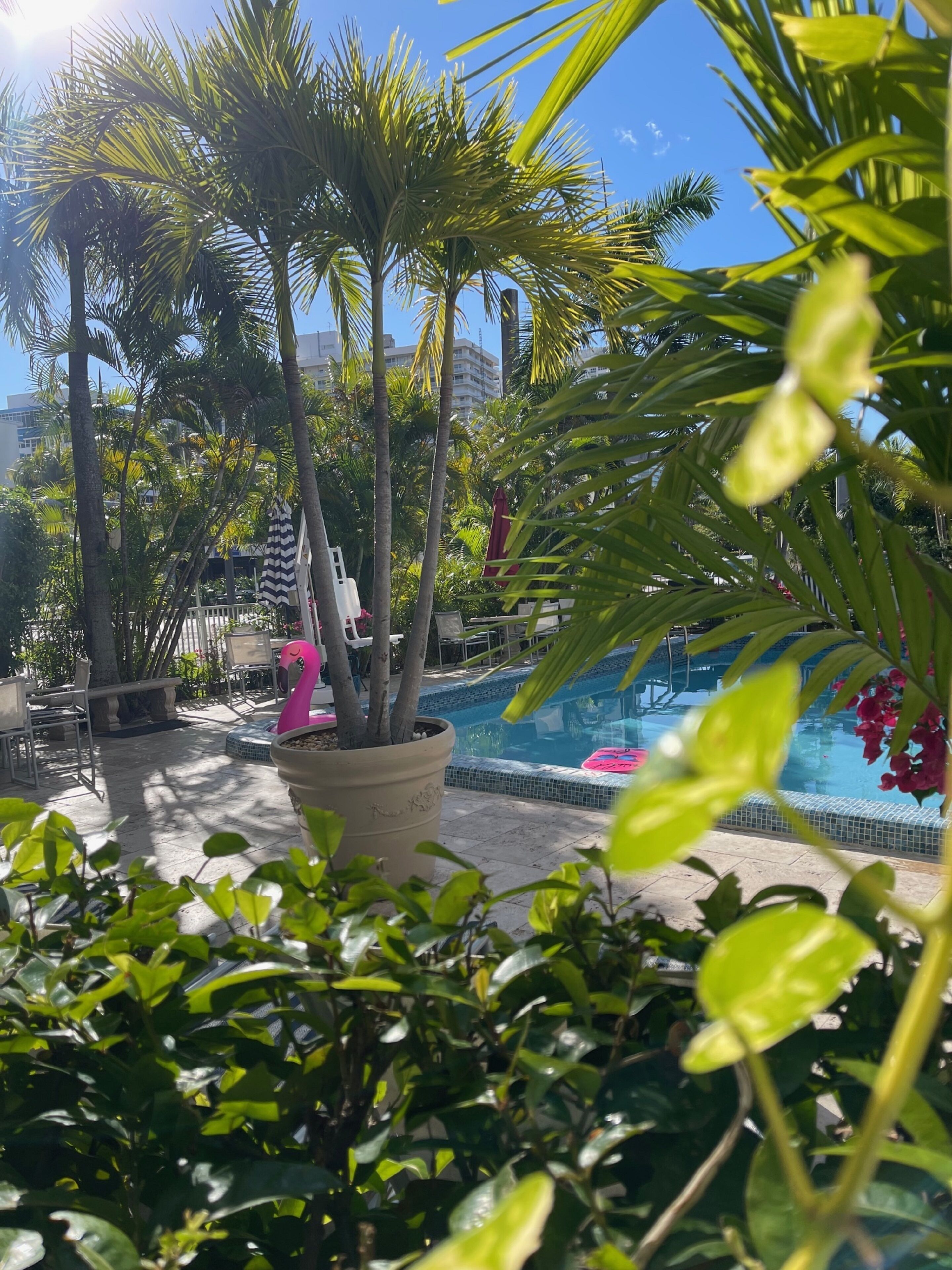 Foto - Ocean Mile Hotel