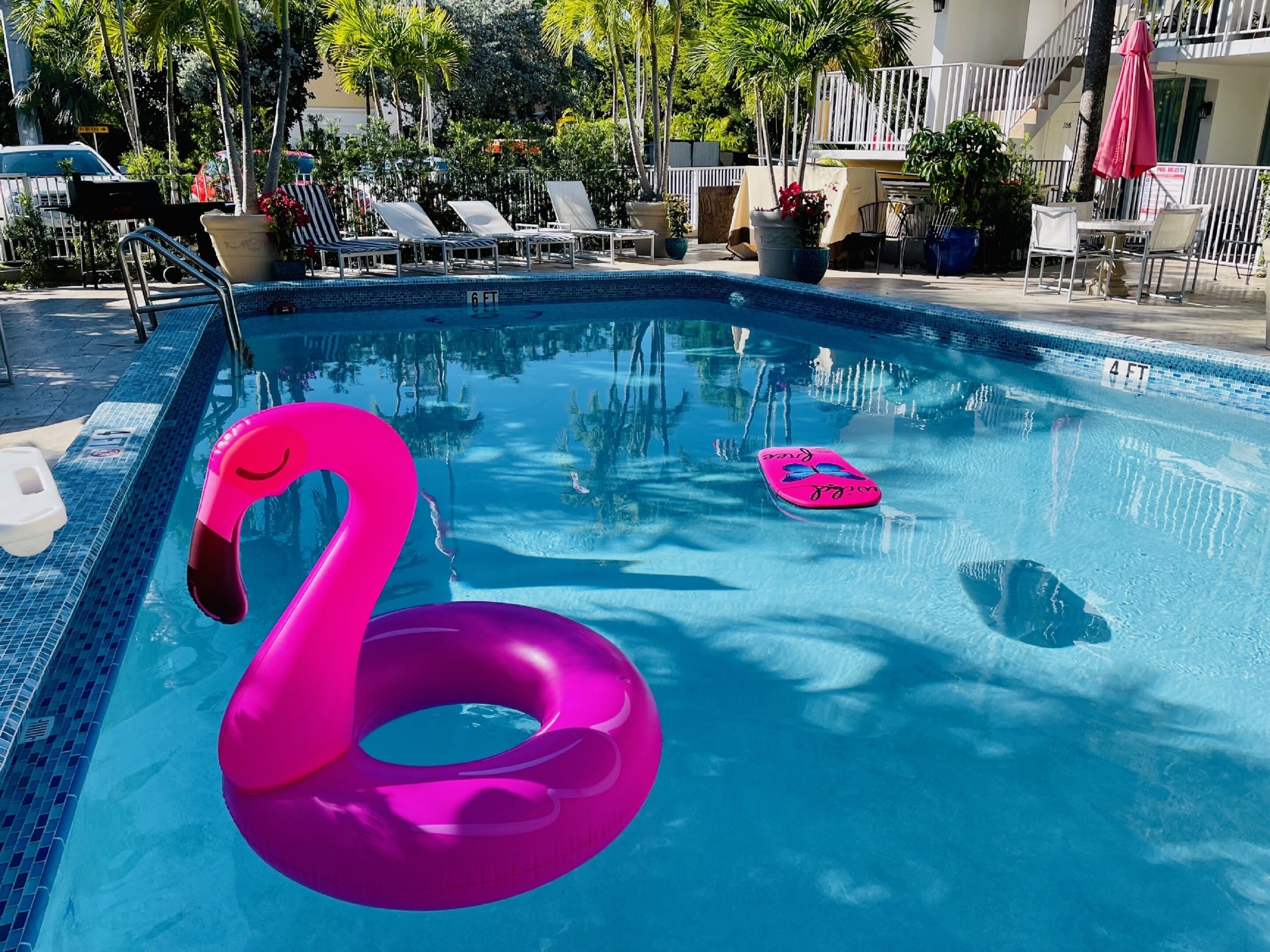 A swimming pool with lounge chairs and a pink flamingo float.
