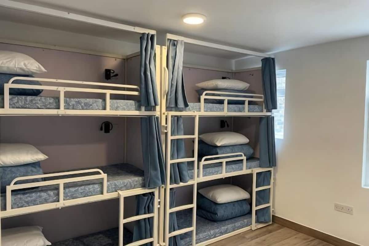 A bunk bed room with a ladder, curtains, and a window.