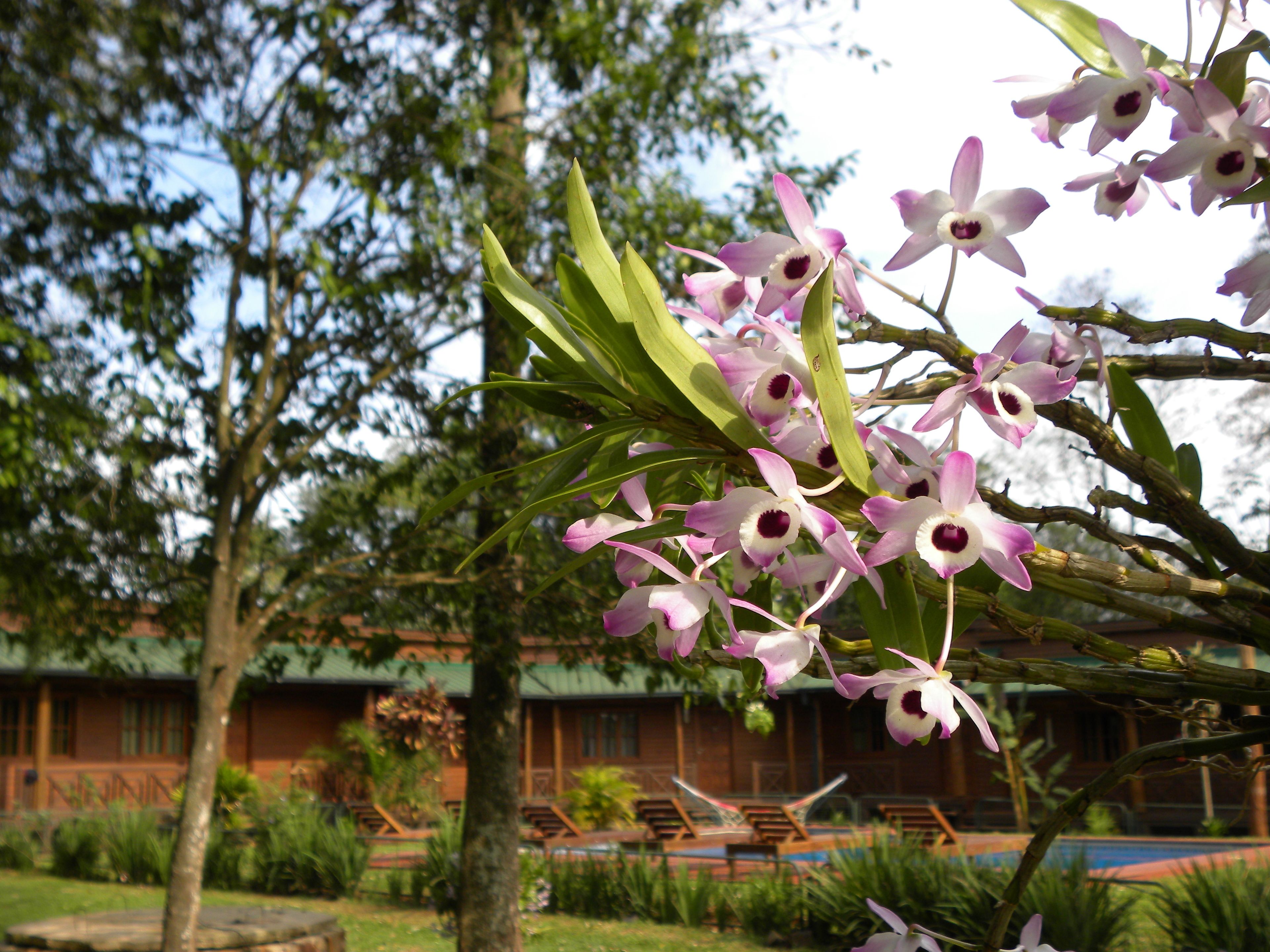 Photo - Posada 21 Oranges