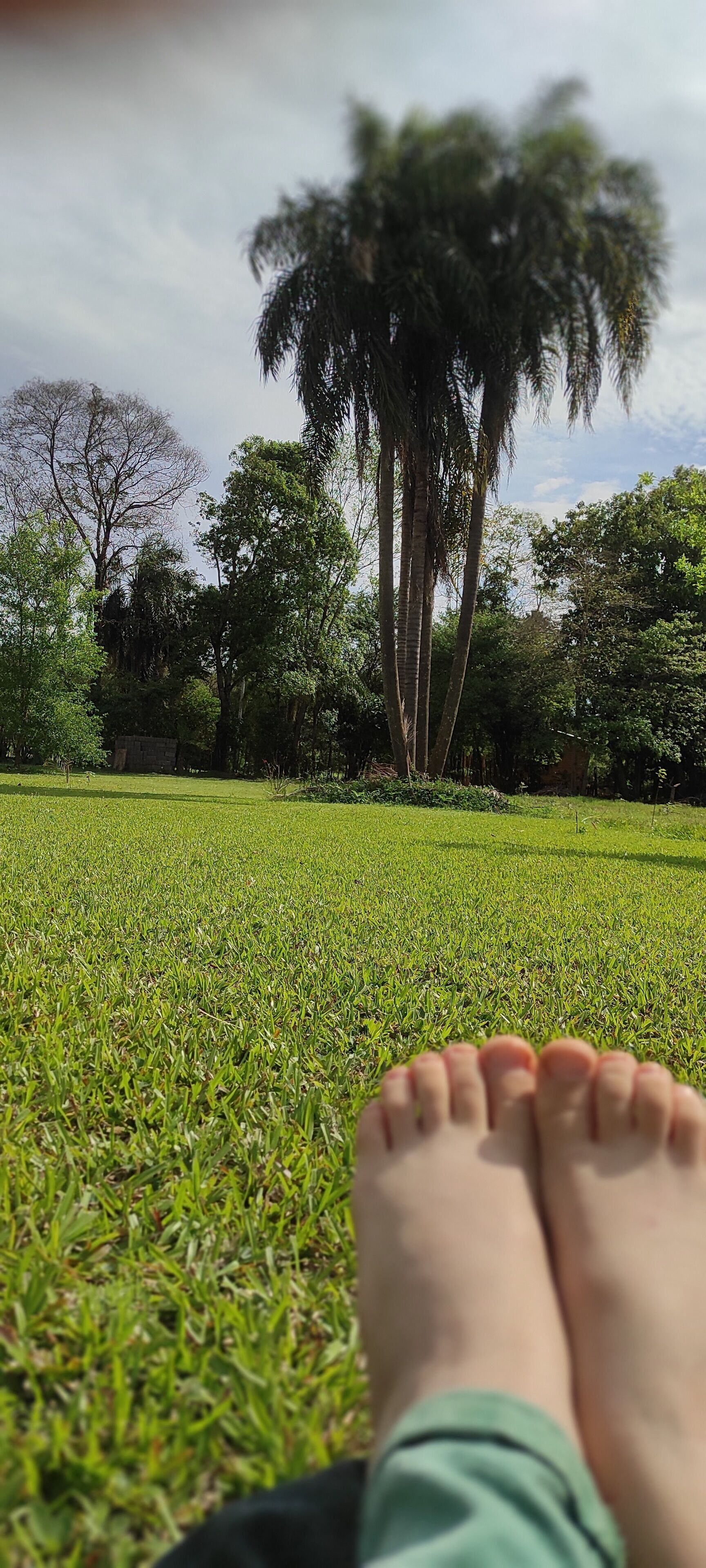 Photo - Posada 21 Oranges