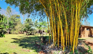 Garden - Posada 21 Oranges (Puerto Iguazú)