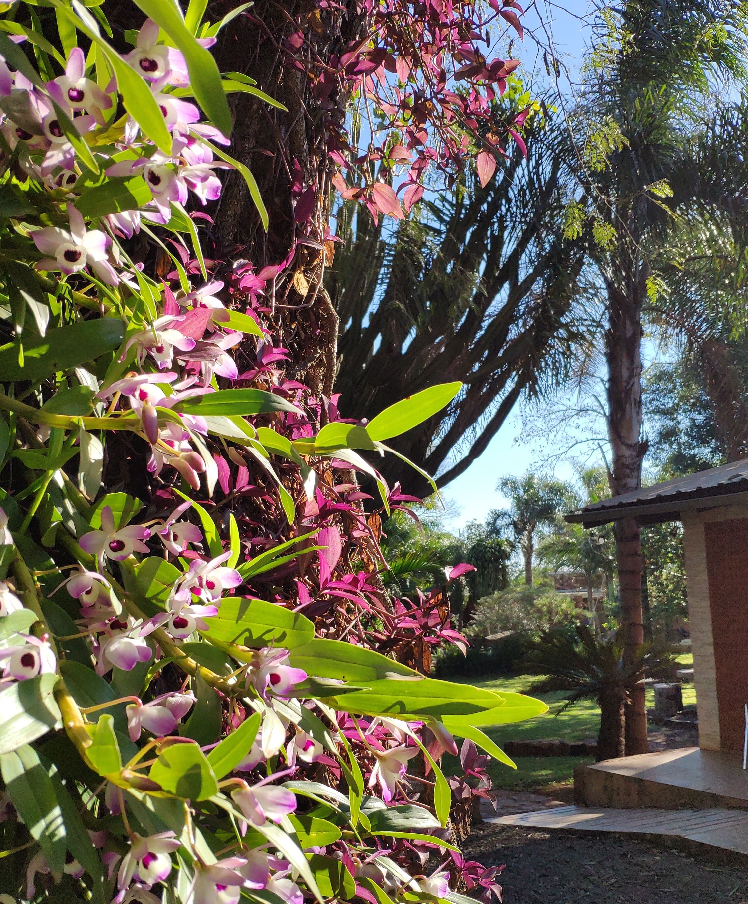 Photo - Posada 21 Oranges