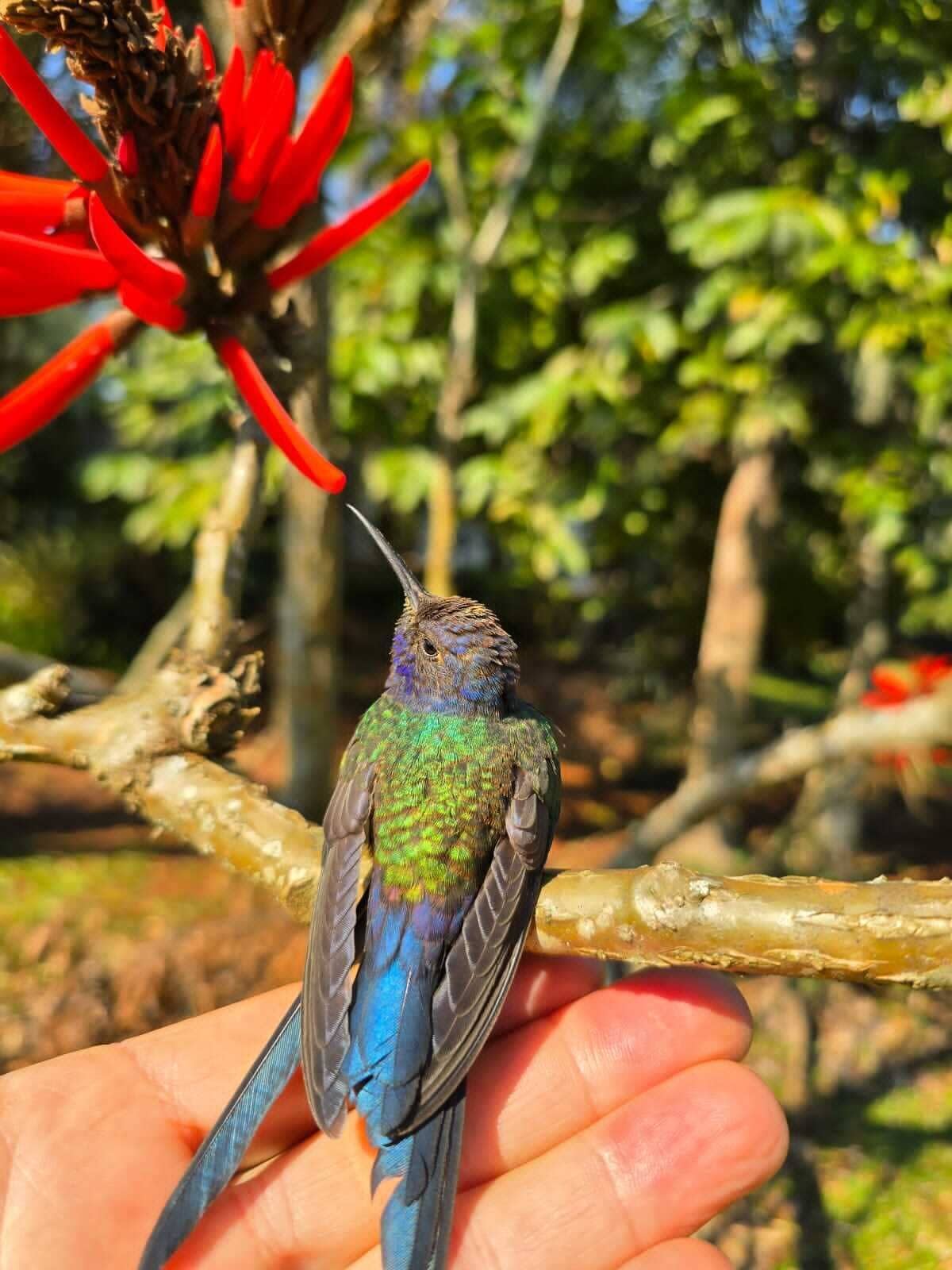 Photo - Posada 21 Oranges