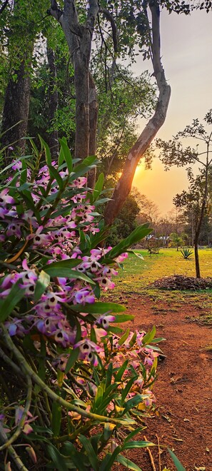 Garden view - Posada 21 Oranges (Puerto Iguazú)