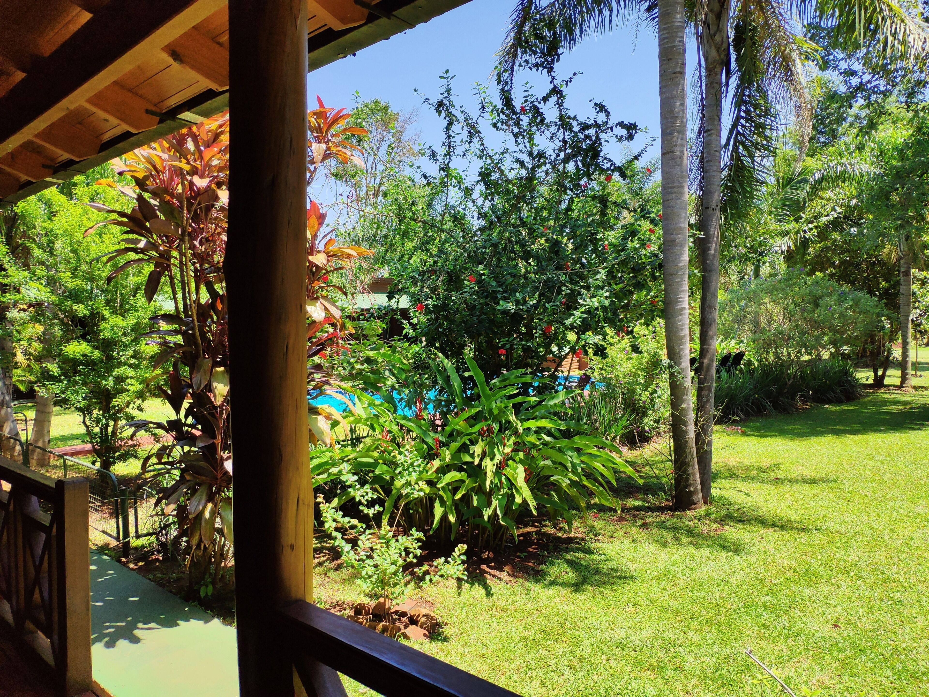 A lush garden with various plants and a wooden structure.