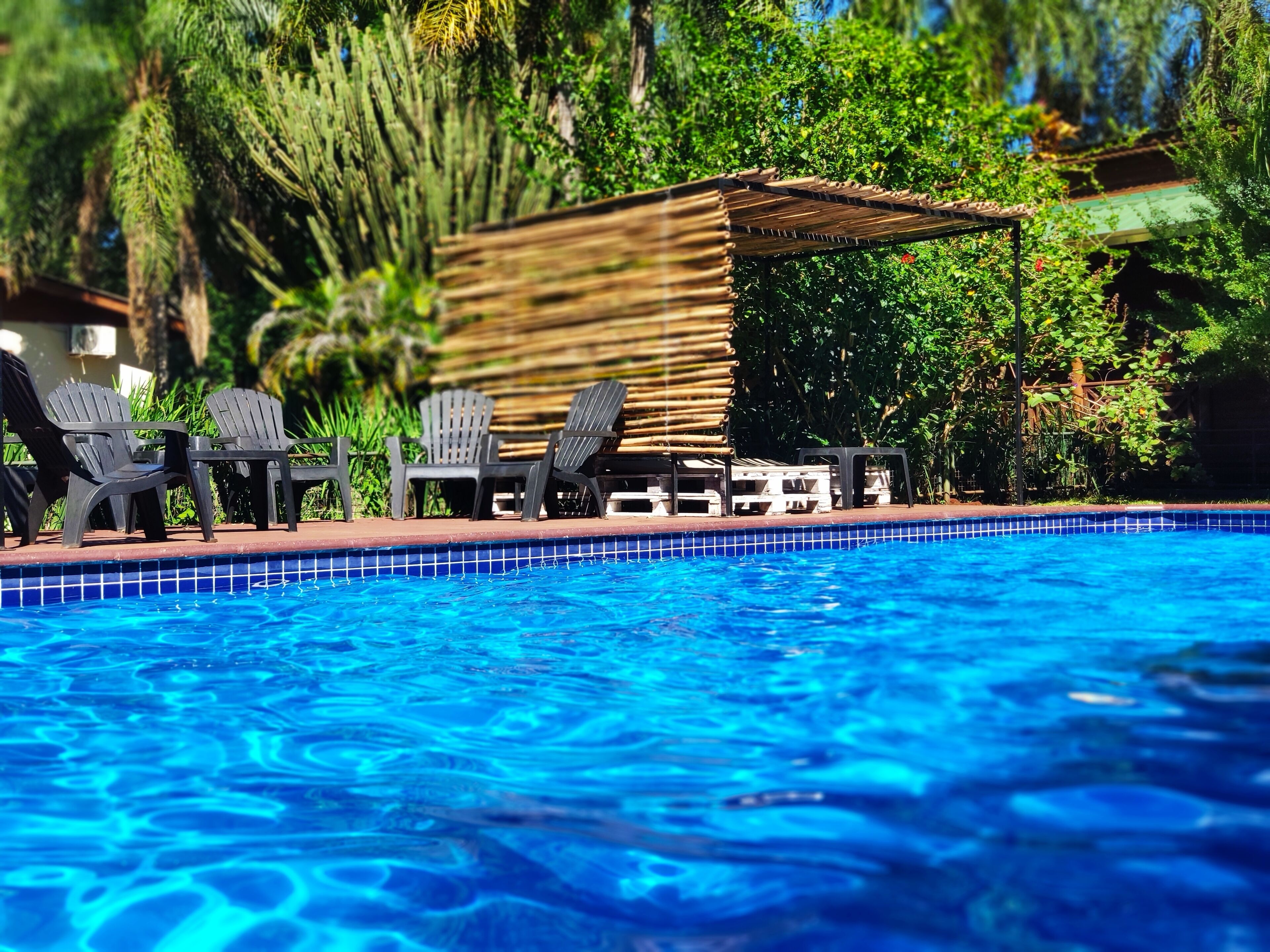 A swimming pool with blue tiles, surrounded by lounge chairs and a wooden pergola.