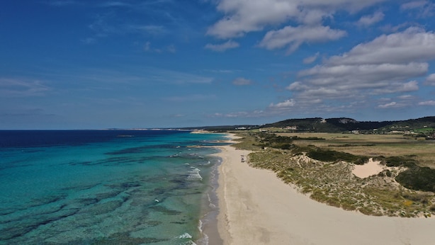 A coastal landscape with a sandy beach, clear turquoise waters, and a distant hill with sparse vegetation. - Apartamentos Son Bou Gardens (Alayor)