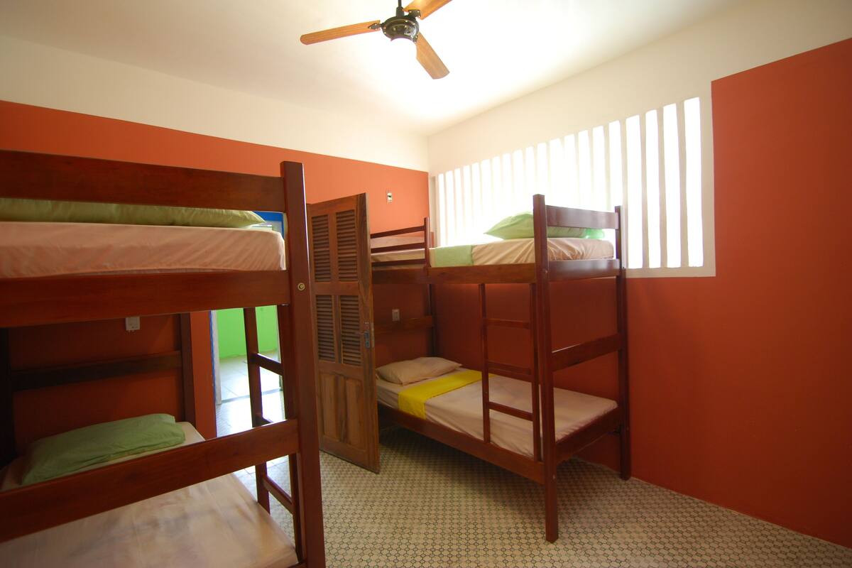 Standard Shared Dormitory, Mixed Dorm (4)