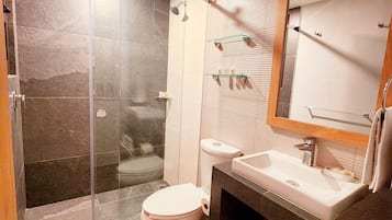 A modern bathroom with a glass-enclosed shower, a toilet, a sink, and a mirror.