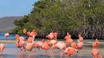 Façade de lâhĂ©bergement