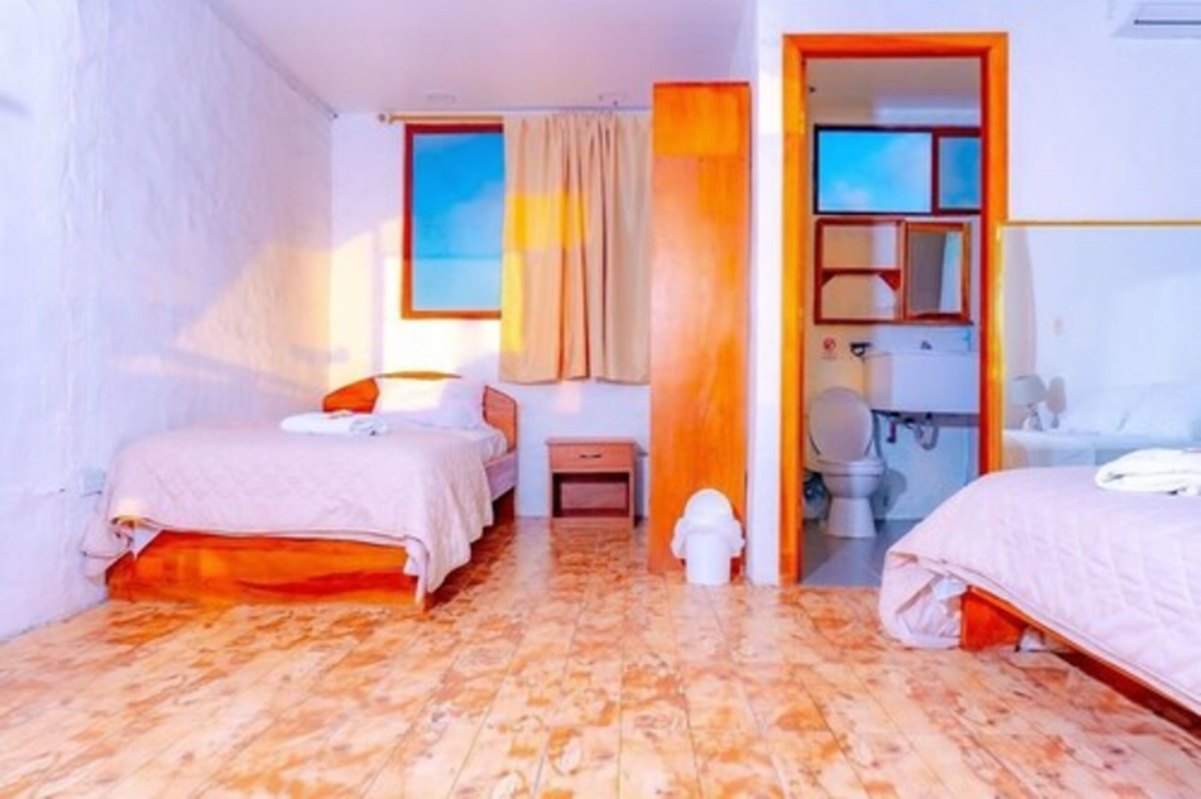 Une chambre avec deux lits, une table de chevet, une fenêtre avec des rideaux et une salle de bain équipée de toilettes et d’un lavabo.