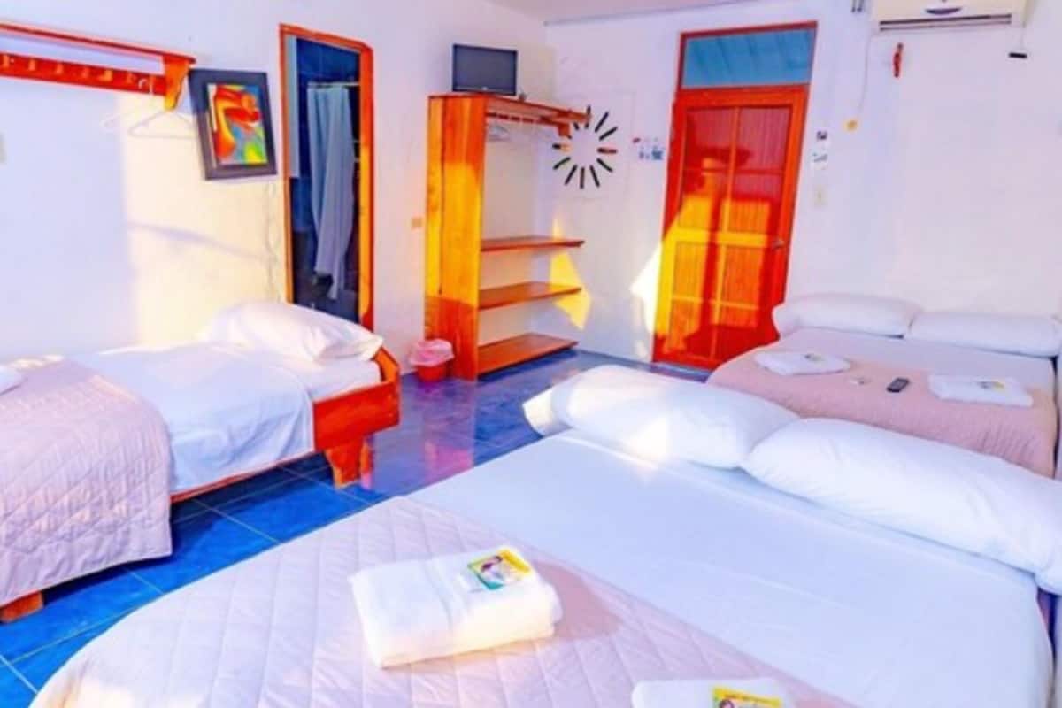 Chambre Triple, 1 chambre, salle de bains privée