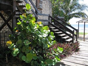 Property grounds - Sandy Point Village (Crown Point)