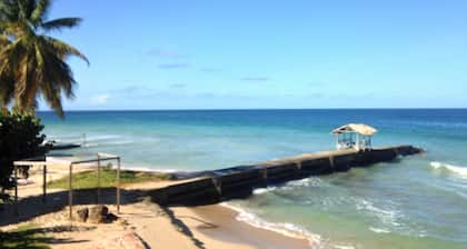 Sandy Point Village