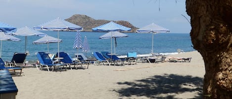 Plage, chaises longues, parasols