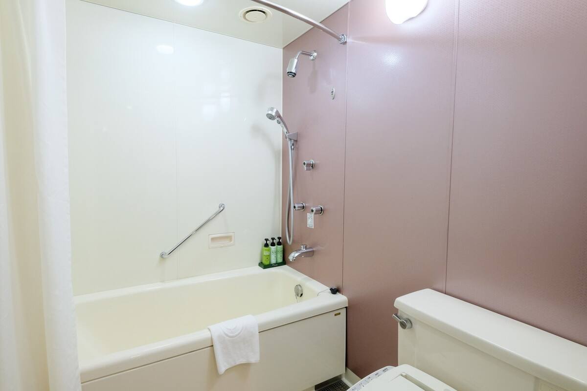 combined shower/bathtub, free toiletries, hair dryer, slippers